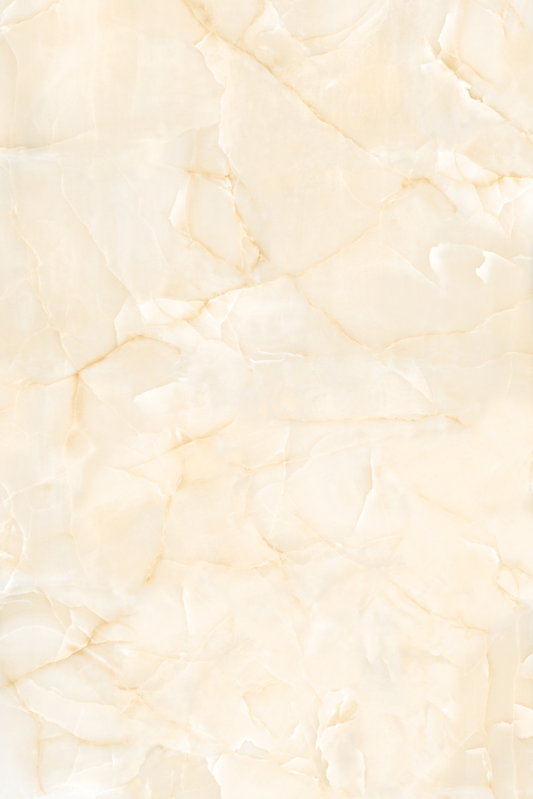 Noisettes – Image 4